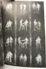 The male nude. David Leddick