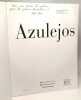 Azulejos - Europalia 91 - Porte de Hal Bruxelles 20 septembre au 29 d&eacute;cembre 1991. Collectif