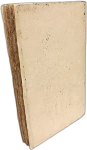 Vingt ans de politique navale (1919-1939 )