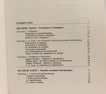 Le processus de changement en thérapie + L'école de Palo Alto --- 2 livres