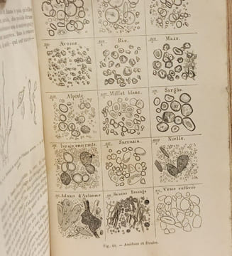 Hygiène des animaux domestiques / Encyclopédie Cadéac. Boucher