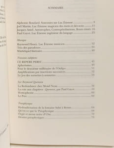 Luc Etienne ingénieur du langage