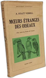 Mœurs étranges des oiseaux