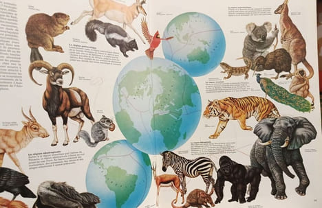 L'atlas de la vie sauvage. Collectif