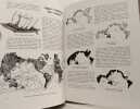 Trimarans et autres multicoques - histoire et d&eacute;veloppements. Basseporte G&eacute;rald & Gaucher Etienne