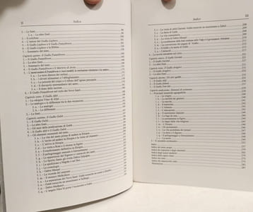 I racconti tradizionali sulla «seconda cristianizzazione» dell'Etiopia: il ciclo agiografico dei nove santi - Studi africanistiei serie etiopica 7