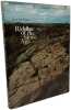 Riddles of the Stone Age: Rock Carvings of Ancient Europe. McMann Jean