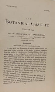Sexual dimorphism in Cunninghamella - The Botanical Gazette Vol. LXXII No. 4 October 1921