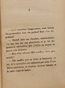 Jocaste et le chat maigre