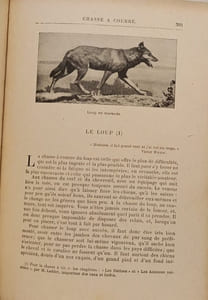 La Chasse Moderne