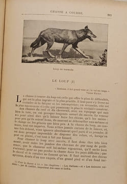 La Chasse Moderne. H. Adelon G. Benoist P. Bert Vicomte E. de la Besge G. Canet Comte J. Clary J. de Coninck Cunisset-Carnot Baron de Dorlodot ...