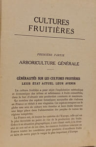 Les Fruits