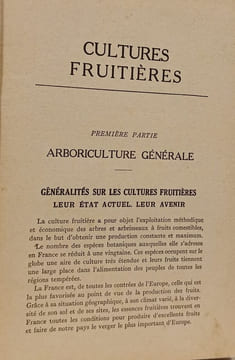 Les Fruits. E. Deaux