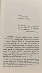 Fous de l'Inde: Délires d'Occidentaux et sentiment océanique