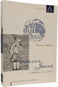 L'errance juive Tome 1: La dispersion l'exil la survie