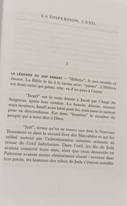 L'errance juive Tome 1: La dispersion l'exil la survie