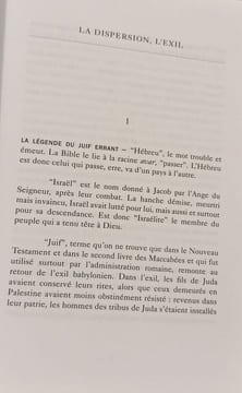 L'errance juive Tome 1: La dispersion l'exil la survie. Calimani Riccardo