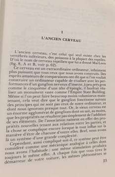 L'ambiguïté humaine. Maurice Auroux