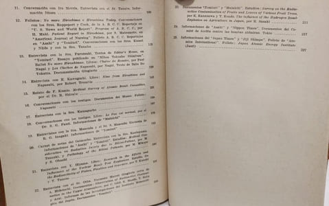 Horror en cadena: Apocalipsis del átomo