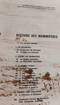 Histoire des mammifères. René Lavocat