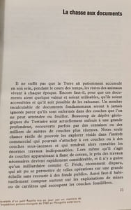 Histoire des mammifères