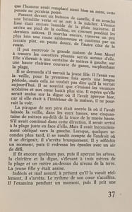 Dauphin mon ami