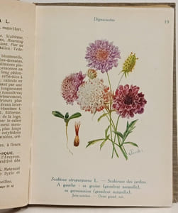 Les Fleurs de Jardins