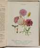 Les Fleurs de Jardins. A. GUILLAUMIN