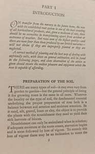 Roses: The Cultivation of the Rose
