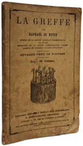 La Greffe