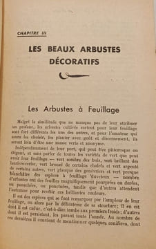 Les arbustes décoratifs. Henri Pasquier