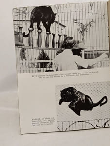 La Cage aux fauves