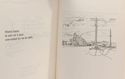Terres des commencements: Haïku et dessins
