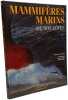 Mammif&egrave;res marins de nos c&ocirc;tes. Chasse-Mar&eacute;e