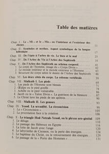 De l'arbre de vie au schéma corporel