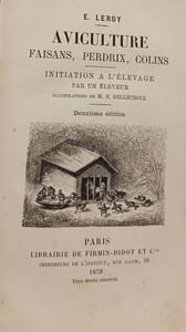 Aviculture faisans perdrix colinsInitiation à l'élevage par un éleveur