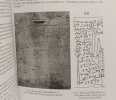 Qasr Ibrim Between Egypt and Africa: Studies in Cultural Exchange (Nino Symposium Leiden 11-12 December 2009) (Egyptologische Uitgaven - Egyptological ...