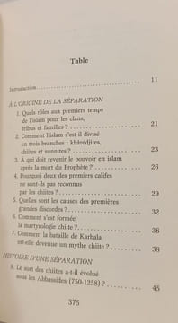 Chiites et sunnites en 100 questions: La grande discorde. Luizard Pierre-Jean