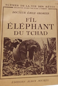 Fil éléphant du Tchad