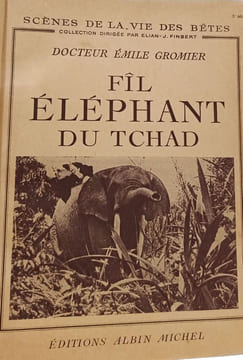 Fil éléphant du Tchad. Docteur Émile Gromier