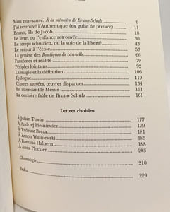 Les régions de la grande hérésie : Portrait de Bruno Schulz