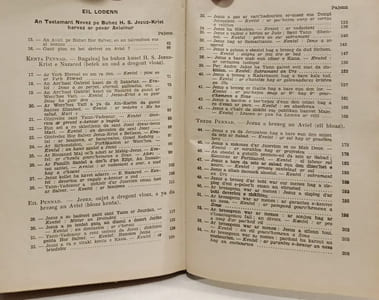 Buhez H. S. Jezuz-Krist hervez ar pevar aviel laket en unan