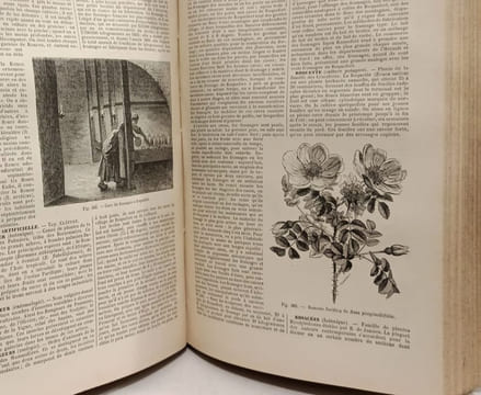 Dictionnaire d'agriculture - TOME QUATRIEME P-Z / Encyclopédie agricole complète. J.-A. Barral Henry Sagnier