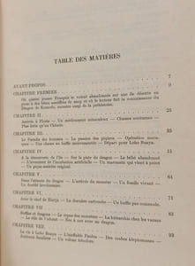 Aux îles du dragon