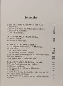 Arawak. Histoire des Antilles et de la Guyane