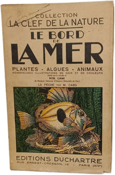Le bord de la mer - Plantes - Algues - Animaux. ROB. LAMI