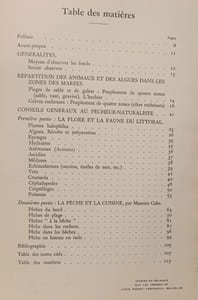 Le bord de la mer - Plantes - Algues - Animaux