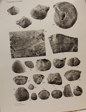 Études géologiques sur le Maroc central et le Moyen Atlas septentrional - TOME I II III et IV. Henri Termier