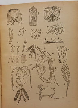 Ce qu'on peut voir avec un petit microscope. Henri COUPIN