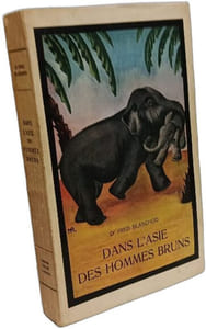 Dans l'Asie des hommes bruns